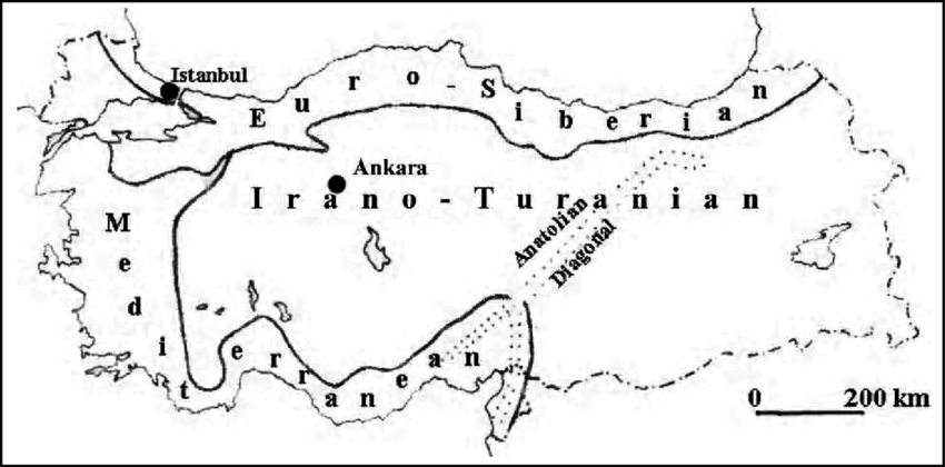 Map showing the phytogeographical regions of Turkey 1 Map showing the phytogeographical regions of Turkey 1